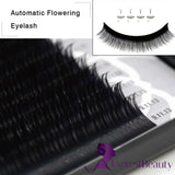 Russian Volume Auto Flourishing Lashes 0.06 Mink Eyelash Extensions CURL C D