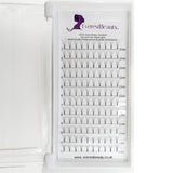 PRE MADE RUSSIAN VOLUME FAN LASHES 3D MINK EYELASHES EXTENSIONS THICKNESS 0.12/ CURL D/C