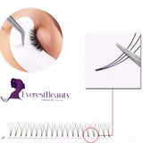 PRE MADE RUSSIAN VOLUME FAN LASHES 3D MINK EYELASHES EXTENSIONS THICKNESS 0.12/ CURL D/C